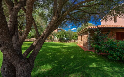San Teodoro Apartments: Blatt, Baum, Gras, Natur, Ast, Garten, Strauch, Landschaft, Rasen