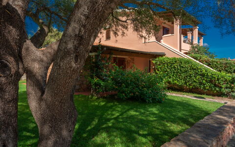 San Teodoro Apartments: Strauch, Garten, Estate, Landscaping, Schatten, Hazienda, Eco Hotel, Garten, Villa, Bauernhaus