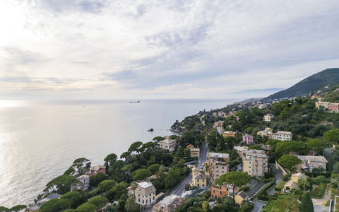 Casa Annalù With Garden, Wifi, Bogliasco: Baum, Küste, Wohngebiet, Meer, Küsten Und Ozeanische Forms, Horizont, Landschaft, Ozean, Vogelperspektive, Luftaufnahmen