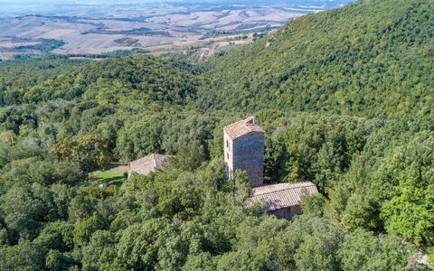 Villa Linchiano: Natürlichen Umgebung, Natur, Landschaft, Wald, Dschungel, Ruinen, Schloss, Valdivianischen Tempe Regen-Wald