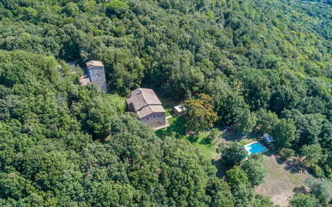 Villa Linchiano: Baum, Natürlichen Umgebung, Natur, Vegetation, Wald, Pflanzengemeinschaft, Ländliches Gebiet, Dschungel, Estate