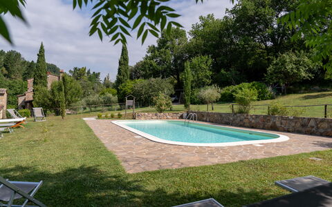 Montaione Country House Amarrante, Pool, Ac: Strauch, Schwimmbad, Garten, Hinterhof, Schatten, Rasen, Landscaping, Estate, Garten, Bauernhaus
