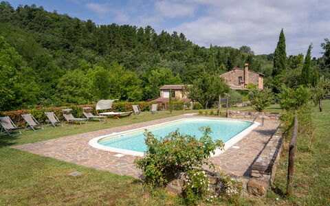 Montaione Country House Amarrante, Pool, Ac: Strauch, Ländliches Gebiet, Estate, Bauernhaus, Garten, Hütte, Hazienda, Eco Hotel, Landscaping