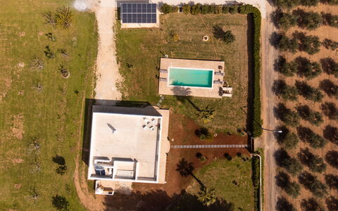 Villa Pallino: Wohngebiet, Landschaft, Einfach, Schwimmbad, Estate, Luftaufnahmen, Vogelperspektive, Landscaping, Rasen, Design