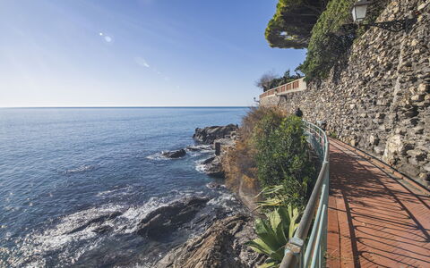 Green Home Seaside, Parking, Wifi, Ac, Genova Nerv: Wasser, Gewässer, Küste, Küsten Und Ozeanische Forms, Meer, Horizont, Ozean, Ufer, Bank, Landspitze