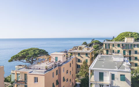 Green Home Seaside, Parking, Wifi, Ac, Genova Nerv: Blau, Gebäude, Wohngebiet, Daytime, Wohnung, Stadt, Horizont, Zuhause, Haus, Nachbarschaft