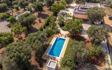 Villa San Vito: Baum, Landschaft, Estate, Landscaping, Hazienda, Schwimmbad, Plantage, Luftaufnahmen, Villa