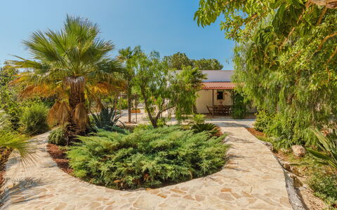 Villa San Vito: Strauch, Garten, Landscaping, Gehölz, Schatten, Hazienda, Auffahrt, Estate, Flagstone