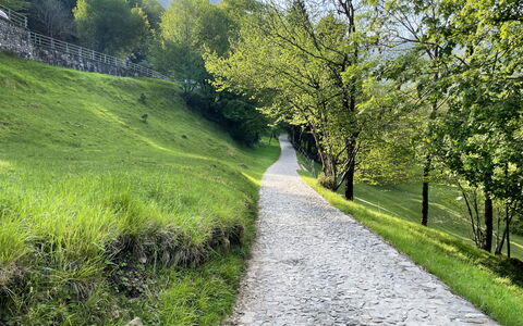 Miralago: Grün, Gras, Natürliche Landschaft, Landschaft, Weg, Walkway, Ground, Durchgangsstrasse, Bergpass, Landscaping