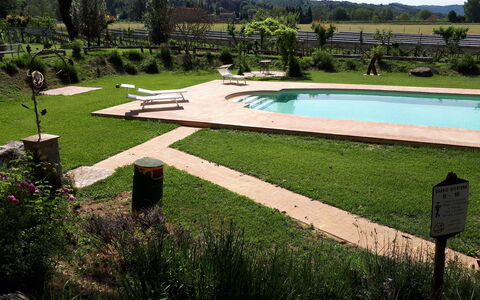 Appartamento Il Fienile Del Sole, Wifi, Perugia: Garten, Schwimmbad, Gartenmöbel, Rasen, Schatten, Hinterhof, Landscaping, Freizeit, Park, Water Feature