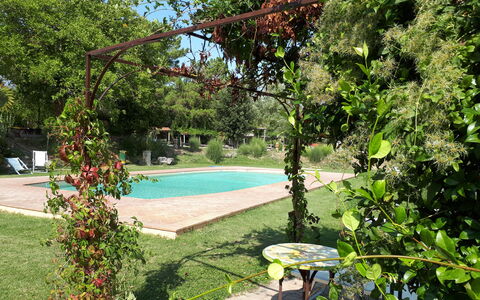 Appartamento Vele, Wifi, Near Perugia: Strauch, Garten, Schatten, Frühling, Hinterhof, Garten, Rasen, Landscaping, Blumentopf