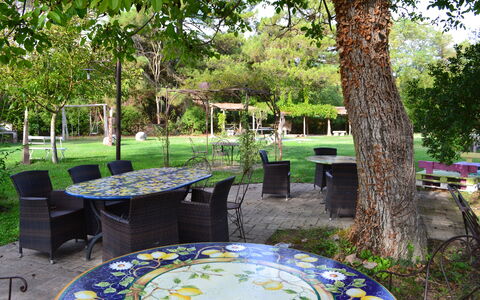 Appartamento Vele, Wifi, Near Perugia: Möbel, Tabelle, Gartenmöbel, Stuhl, Garten, Tisch Im Freien, Schatten, Rasen, Frühling, Hinterhof