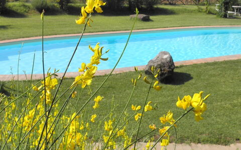 Appartamento La Vecchia Cedraia, Wifi, Perugia: Gelb, Frühling, Garten, Rasen, Landscaping, Garten, Park, Wild, Botanischer Garten