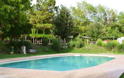 Appartamento Scuderia Del Borgo, Wifi, Perugia: Schwimmbad, Baum, Resort, Schatten, Garten, Gartenmöbel, Freizeit, Hinterhof, Landscaping, Water Feature