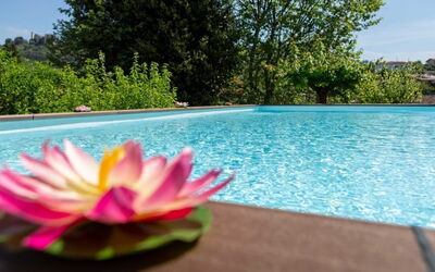 Casale La Pieve: Wasser, Schwimmbad, Garten, Landscaping, Resort, Water Feature, Eco Hotel, Botanischer Garten, Hinterhof