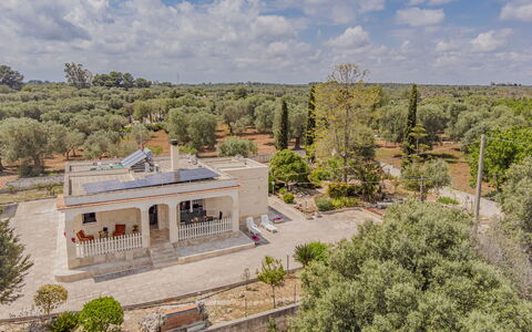 Villa Vera: Baum, Estate, Zuhause, Hazienda, Landscaping, Villa, Villa, Auffahrt, Bauernhaus
