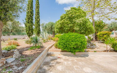Villa Vera: Strauch, Garten, Pflanzengemeinschaft, Ground, Gehölz, Landscaping, Botanischer Garten, Walkway, Schatten