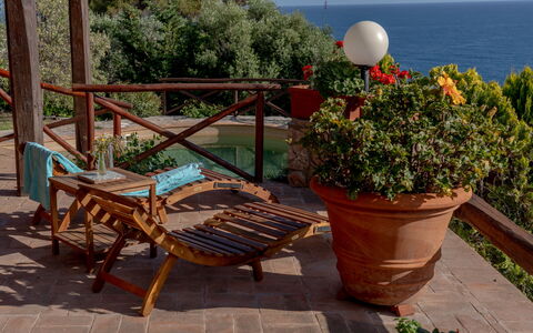 Villa Argentina: Möbel, Meer, Blumentopf, Küsten Und Ozeanische Forms, Gartenmöbel, Ozean, Küste, Tisch Im Freien, Stuhl, Zimmerpflanze