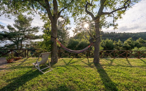 Villa Argentina: Ast, Holz, Möbel, Landschaft, Kofferraum, Sonnenlicht, Schatten, Garten, Gartenmöbel, Zweig