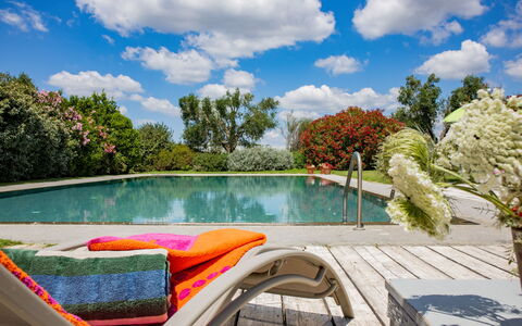 Villa Flaminia: Wasser, Schwimmbad, Gartenmöbel, Strauch, Garten, Möbel, Stuhl, Resort, Freizeit, Eco Hotel