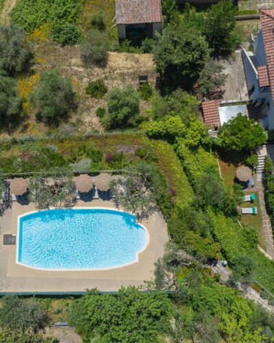 Podere Oliveta: Schwimmbad, Resort, Gartenmöbel, Hazienda, Estate, Eco Hotel, Villa, Regenschirm, Ferienort, Thermae