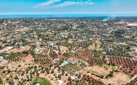 Villa Prestige: Daytime, Wohngebiet, Luftaufnahmen, Vogelperspektive, Stadtgebiet, Landschaft, Nachbarschaft, Vorort, Horizont, Urban Design