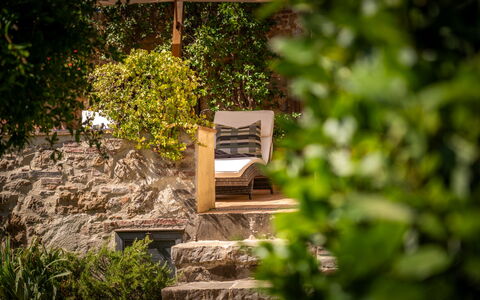 Town House Garden