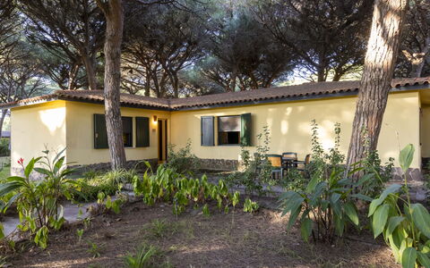 Nature & Country Resort Near The sea: Zuhause, Hütte, Garten, Estate, Hinterhof, Landscaping, Schatten, Garten, Rasen, Bauernhaus