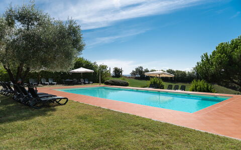 Green Hill Apartment In Tuscan Countryside: Estate, Schwimmbad, Hazienda, Landscaping, Resort, Plantage, Eco Hotel, Villa, Bauernhaus