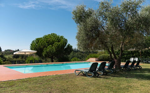 Green Hill Apartment In Tuscan Countryside: Schwimmbad, Resort, Hazienda, Garten, Estate, Landscaping, Eco Hotel, Schatten, Gartenmöbel, Villa