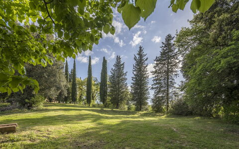 Cottage Monti Pet Friendly With Shared Pool: Blatt, Baum, Natur, Natürlichen Umgebung, Grün, Ast, Vegetation, Natürliche Landschaft, Strauch, Pflanzengemeinschaft
