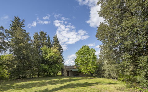 Cottage Monti Pet Friendly With Shared Pool: Baum, Gras, Blatt, Natürlichen Umgebung, Ast, Natur, Vegetation, Strauch, Wiese, Landschaft