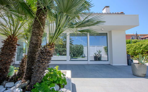 Villa Rosa Del Mare: Gehölz, Garten, Landscaping, Schatten, Eco Hotel, Zimmerpflanze, Tropen, Walkway, Villa