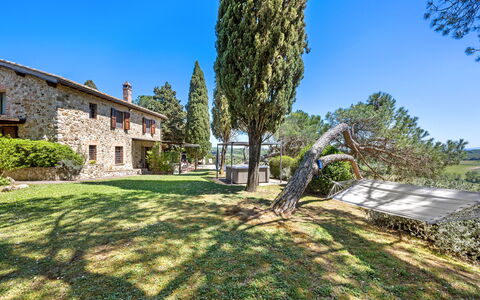 Capanna al Lago, Chianti Heritage in Vineyards: Baum, Garten, Estate, Landscaping, Bauernhaus, Villa, Immergrün, Pine Familie