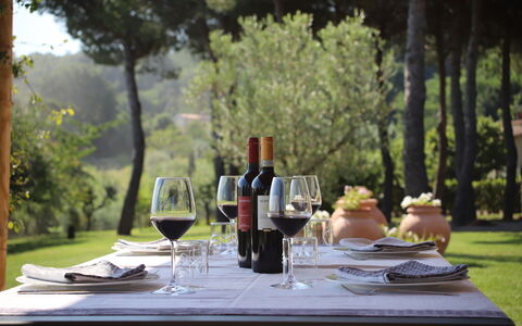Villa Petrosa: Your Private Escape Overlooking the: Möbel, Geschirr, Tabelle, Drinkware, Kelche, Gartenmöbel, Weinglas, Barware, Wein