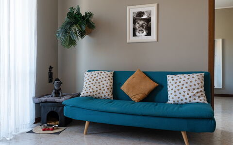La Casa del Saggio: Möbel, Interior Design, Kissen, Couch, Fussboden, Flooring, Textil, Dekokissen, Wohnzimmer, Zimmer