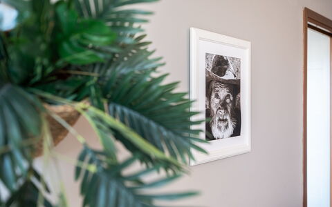 La Casa del Saggio: Wand, Interior Design, Bilderrahmen, Blumentopf, Zuhause, Zimmer, Zimmerpflanze, Vase, Farbe, Wohnzimmer