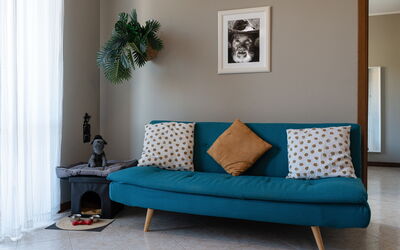 La Casa del Saggio: Möbel, Interior Design, Kissen, Couch, Fussboden, Flooring, Textil, Dekokissen, Wohnzimmer, Zimmer