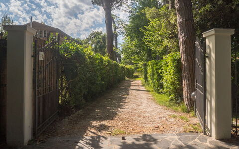 Casa Carla: Blatt, Grün, Natur, Vegetation, Strauch, Garten, Sonnenlicht, Schatten, Frühling, Weg