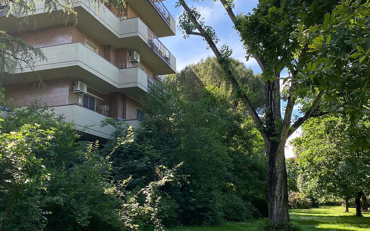 Suite Vogel
