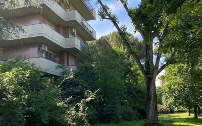 Suite Vogel: Vegetation, Strauch, Wohnung, Garten, Eigentumswohnung, Landscaping, Immergrün