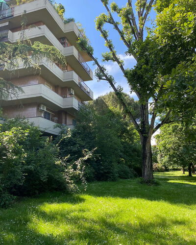 Suite Vogel: Vegetation, Strauch, Wohnung, Garten, Eigentumswohnung, Landscaping, Immergrün