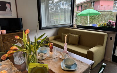 Alfa 1: Holz, Interior Design, Möbel, Flooring, Zimmer, Wohnzimmer, Couch, Zimmerpflanze, Kaffetisch