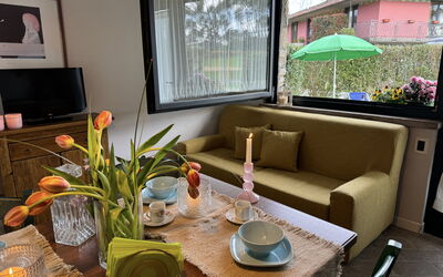 Alfa 4: Holz, Interior Design, Möbel, Flooring, Zimmer, Wohnzimmer, Couch, Zimmerpflanze, Kaffetisch