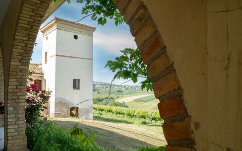 Unterkunft:&nbsp;Torretta 648.4