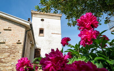 Unterkunft:&nbsp;Torretta 648.4