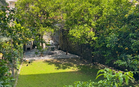 Corso Roma 15 Vacanze - Levanto: Grün, Blatt, Vegetation, Strauch, Garten, Ground, Frühling, Landscaping, Hinterhof, Garten