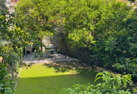 Corso Roma 15 Vacanze - Levanto: Grün, Blatt, Vegetation, Strauch, Garten, Ground, Frühling, Landscaping, Hinterhof, Garten