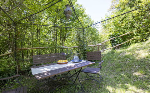 Il Castagneto: Pflanzengemeinschaft, Dschungel, Garten, Schatten, Wald, Valdivianischen Tempe Regen-Wald, Outdoor Struktur, Regenwald, Hinterhof