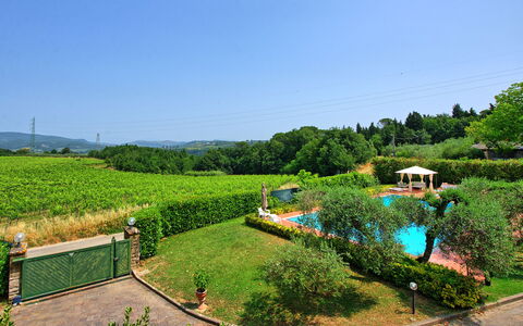 Villa Adriana: Strauch, Garten, Schwimmbad, Eco Hotel, Plantage, Resort, Landscaping, Hazienda, Estate, Hinterhof